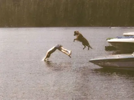 A man and his dog diving off a boat into a lake together.